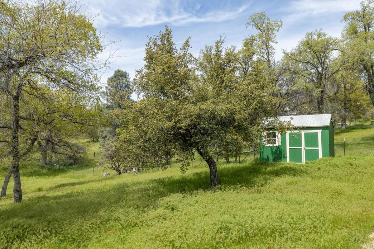 Meadows At Sky Ranch, 15 Miles From Yosemite Villa Oakhurst